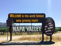 Wineries @ Napa