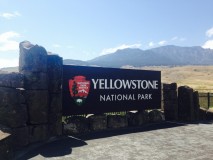 Mythique Yellowstone & Grand Teton