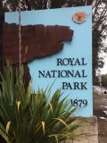 Royal NP: pleine nature à 2 pas de Sydney!