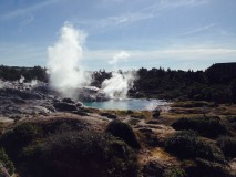 Rotorua: Mauri, géothermie et fougères